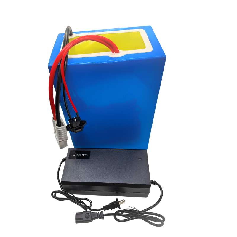 72V 100Ah Li ion With ChargerB - 72V 60Ah Lifepo4 Battery Pack 评论和价格
